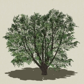 ��ľ-Sketchup��ͼ��ʦEnscape����ģ��2022051182