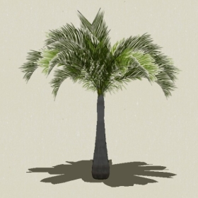 ���ֲ��-Sketchup��ͼ��ʦEnscape����ģ��2022051138