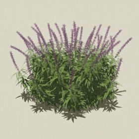 ��ľ-Sketchup��ͼ��ʦEnscape����ģ��20220511