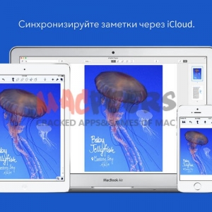 Notability for mac 2.1.0 使笔记和注释容易