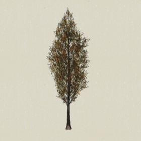 ��ľ-Sketchup��ͼ��ʦEnscape����ģ��20220511113