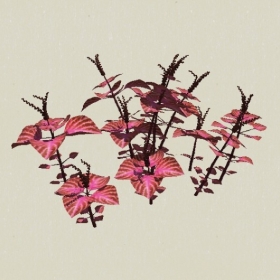 ��-Sketchup��ͼ��ʦEnscape����ģ��20220511106