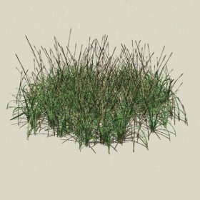 ��-Sketchup��ͼ��ʦEnscape����ģ��2022051135