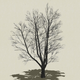 ��ľ-Sketchup��ͼ��ʦEnscape����ģ��2022051156