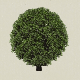 ��ľ-Sketchup��ͼ��ʦEnscape����ģ��2022051141