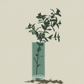 ����-Sketchup��ͼ��ʦEnscape����ģ��2022051119