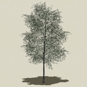 ��ľ-Sketchup��ͼ��ʦEnscape����ģ��20220511146