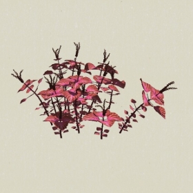 ��-Sketchup��ͼ��ʦEnscape����ģ��20220511107