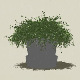 ����ֲ��-Sketchup��ͼ��ʦEnscape����ģ��20220511120