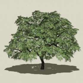 ��ľ-Sketchup��ͼ��ʦEnscape����ģ��2022051160