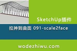 sketchup  ӵ 091-scale2face_