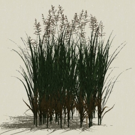 ��-Sketchup��ͼ��ʦEnscape����ģ��20220511102