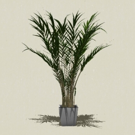 ����ֲ��-Sketchup��ͼ��ʦEnscape����ģ��20220511190