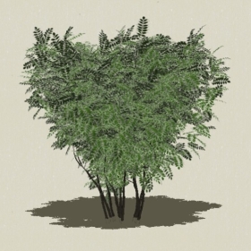 ��ľ-Sketchup��ͼ��ʦEnscape����ģ��2022051138