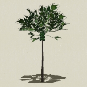 ���ֲ��-Sketchup��ͼ��ʦEnscape����ģ��202205116