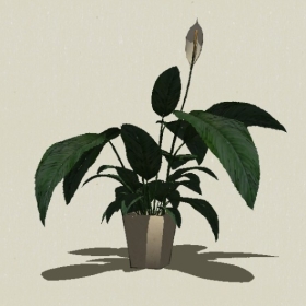 ����ֲ��-Sketchup��ͼ��ʦEnscape����ģ��20220511371