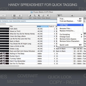 Tag Editor 1.0.6 Mac 优秀Mp3标签编辑器