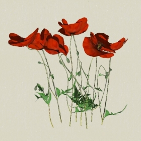 ����-Sketchup��ͼ��ʦEnscape����ģ��2022051160