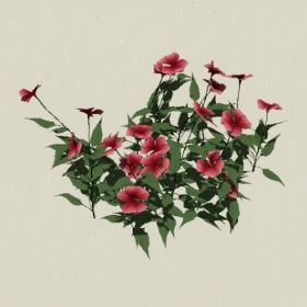 ����-Sketchup��ͼ��ʦEnscape����ģ��20220511110