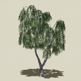 ��ľ-Sketchup��ͼ��ʦEnscape����ģ��2022051163