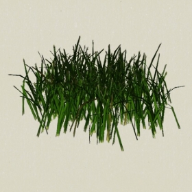 ��-Sketchup��ͼ��ʦEnscape����ģ��2022051147