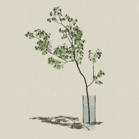 ����-Sketchup��ͼ��ʦEnscape����ģ��2022051127