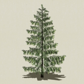 ��Ҷ��ľ-Sketchup��ͼ��ʦEnscape����ģ��2022051111