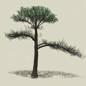 ��Ҷ��ľ-Sketchup��ͼ��ʦEnscape����ģ��2022051150