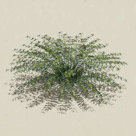 ����-Sketchup��ͼ��ʦEnscape����ģ��202205117