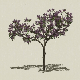 ��ľ��ľ-Sketchup��ͼ��ʦEnscape����ģ��2022051148