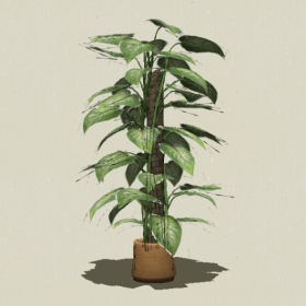 ����ֲ��-Sketchup��ͼ��ʦEnscape����ģ��20220511406