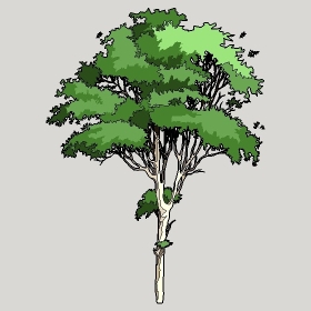 ͼʦģֲģȫ2022129