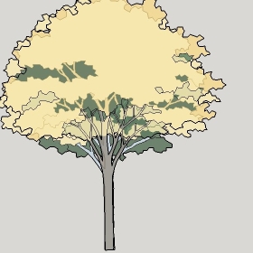ͼʦģֲTTrees2Dֱģ148