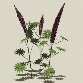 ����-Sketchup��ͼ��ʦEnscape����ģ��2022051146