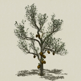 ��ľ��ľ-Sketchup��ͼ��ʦEnscape����ģ��2022051122