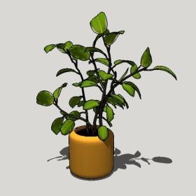 ����ֲ��_Sketchup��ͼ��ʦģ��Enscape����22020426484