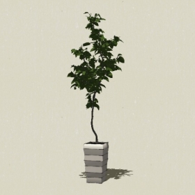 ����ֲ��-Sketchup��ͼ��ʦEnscape����ģ��20220511291