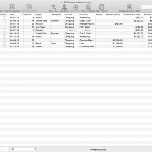 BeanCounter Pro for mac 2.0.4 专业代理记帐工具