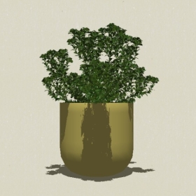 ����ֲ��-Sketchup��ͼ��ʦEnscape����ģ��2022051131