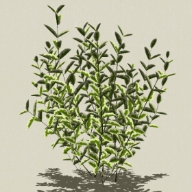 ��ľ-Sketchup��ͼ��ʦEnscape����ģ��2022051159