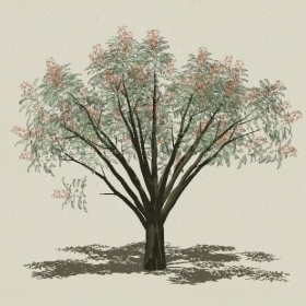 ��ľ��ľ-Sketchup��ͼ��ʦEnscape����ģ��2022051159