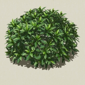 ��ľ-Sketchup��ͼ��ʦEnscape����ģ��2022051116