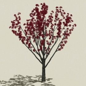 ��ľ��ľ-Sketchup��ͼ��ʦEnscape����ģ��2022051176