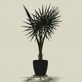 ����ֲ��-Sketchup��ͼ��ʦEnscape����ģ��20220511322