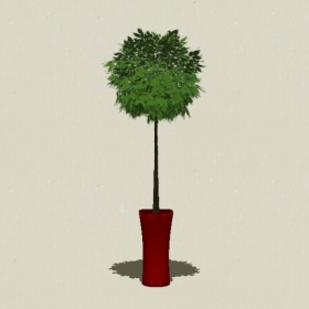 ����ֲ��-Sketchup��ͼ��ʦEnscape����ģ��20220511132