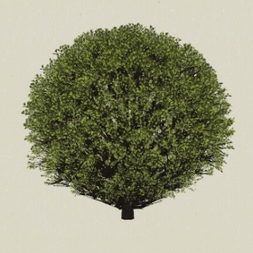 ��ľ-Sketchup��ͼ��ʦEnscape����ģ��2022051143