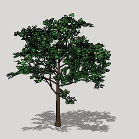 草图大师模型植物简模齐全2022年1251