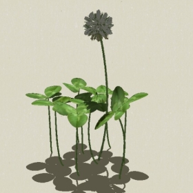 ����-Sketchup��ͼ��ʦEnscape����ģ��2022051164