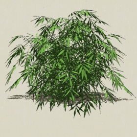 ����-Sketchup��ͼ��ʦEnscape����ģ��2022051117