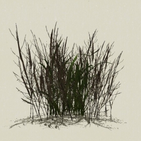 ��-Sketchup��ͼ��ʦEnscape����ģ��2022051173